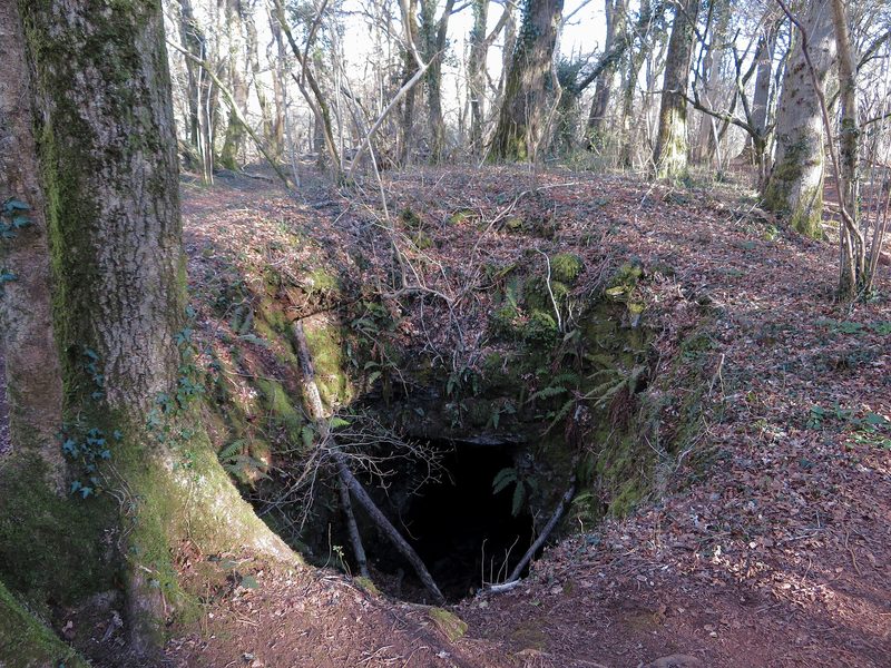 A stone-arched mine adit set into a bank of rock and undergrowth on Lesser Garth Hill, its dark entrance partly screened by trees