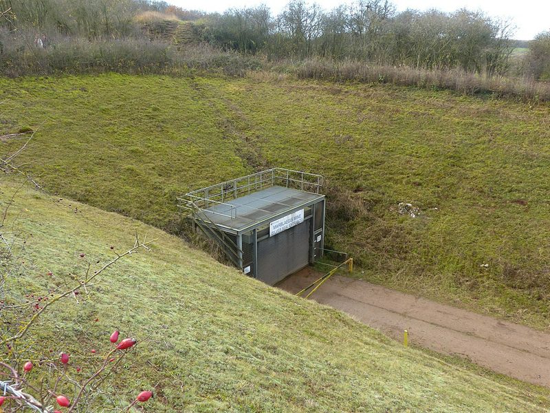 A gated adit mouth at the end of a cutting through trees, the second entrance to the Marblaegis gypsum mine.