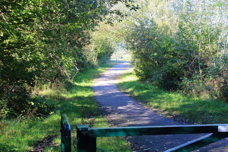 A tarmac cycle path runs between trees and bushes, seen past a green metal barrier.