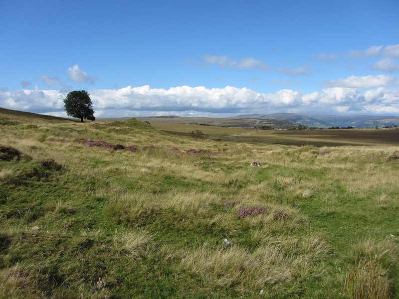 Rough moorland grass and scattered concrete foundations on the open mountain at the site of Milfraen Colliery above Blaenavon