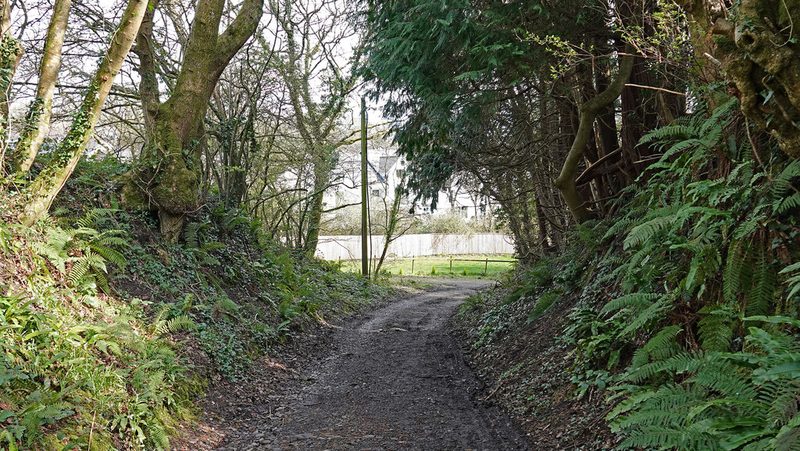 A rough track between fern-covered banks and trees, leading towards a white house beyond a fence.