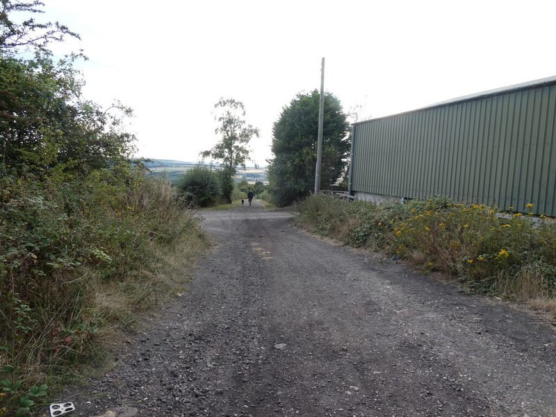 A rough track running downhill between bushes and a green farm shed, with a walker in the distance.