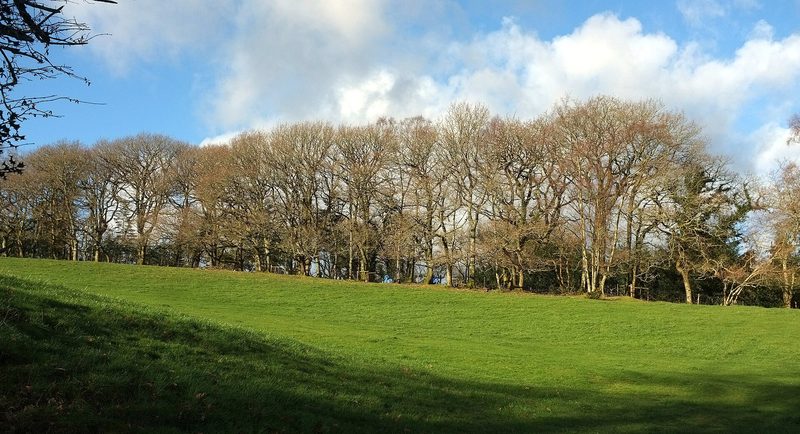 A deep, tree-lined gully cut through a hillside by medieval tin workers.