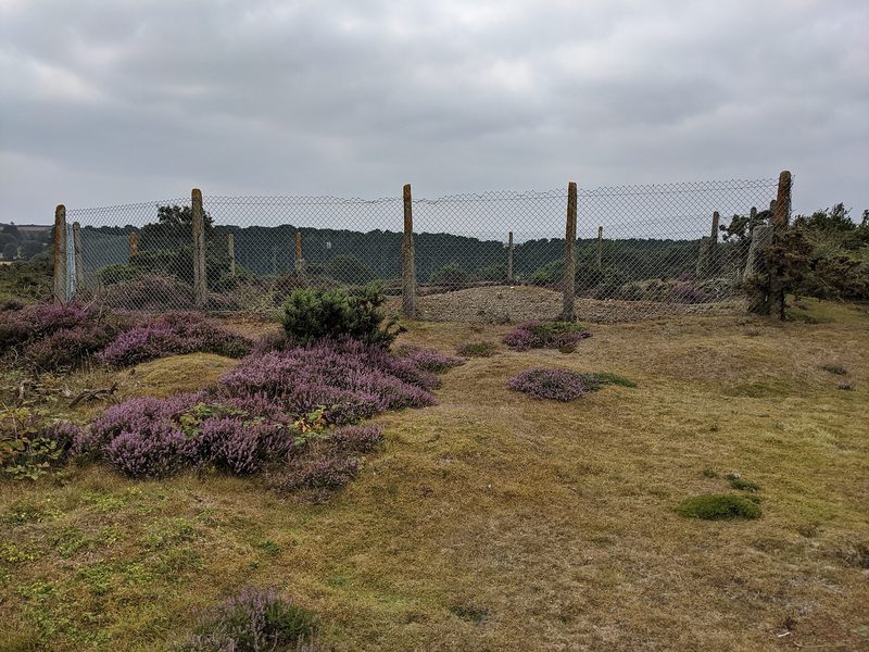 A metal fence ringing an old mine shaft in rough open ground at Penberthy Croft, with scrub and low vegetation around it.