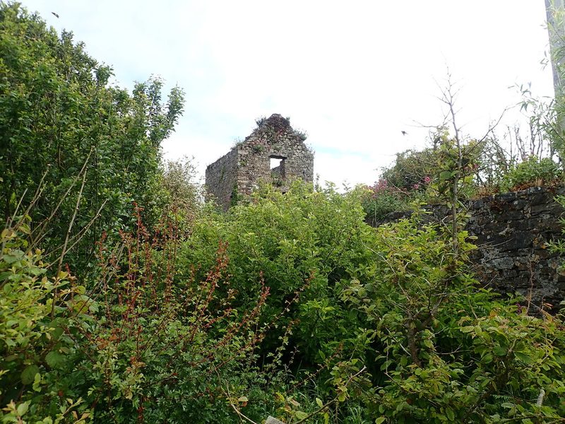 The ruined stone gable of an engine house rises above dense green shrubs, beside an old stone wall.
