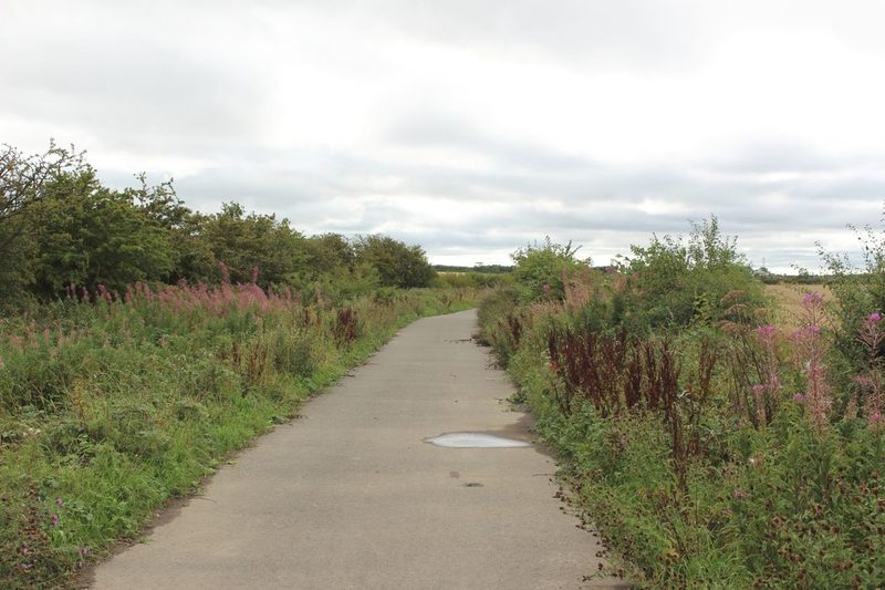 A narrow tarmac path running straight between banks of tall grass, willowherb and bushes under a grey sky.