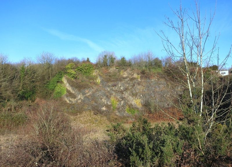 A grey limestone quarry face partly covered with ivy and scrub, behind gorse and bare trees under a blue sky.