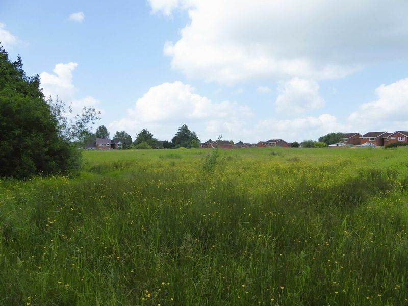 A wide open grassy space with trees and the backs of houses beyond, on the site of a former colliery.