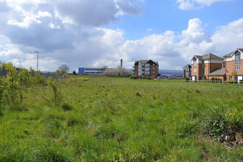 A white chalk quarry face at Purfleet Chalk Pits in Essex, overgrown at the top, exposing the chalk beneath Thames terrace gravels