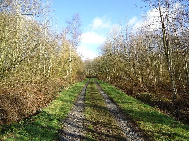 The line of the former colliery track at Quarter, near Hamilton.