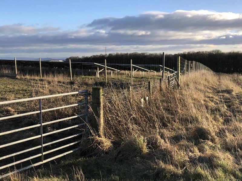 Rows of photovoltaic panels on farmland at Rosebank on the hill north-west of Dunfermline, the former Rosebank Colliery ground, with the town below