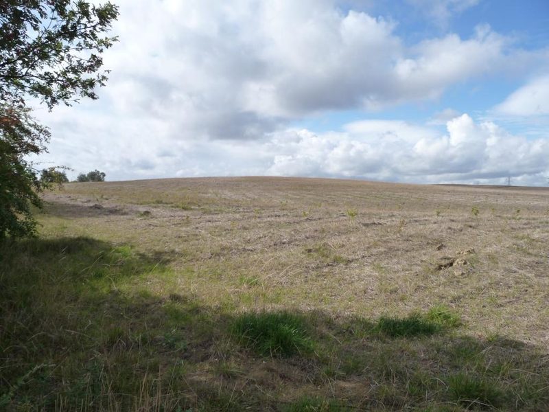 The grassed-over former spoil heap of Sharlston Colliery