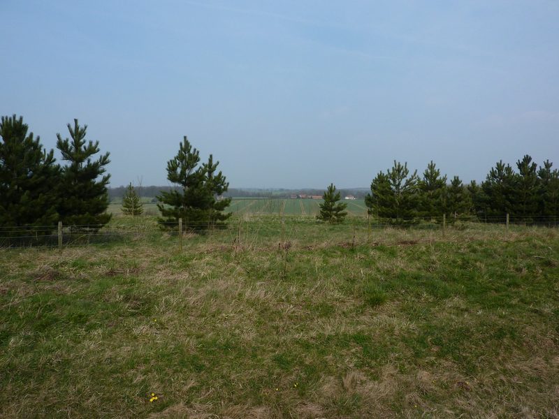 'Testing for Gas', a life-size bronze statue by Antony Dufort of a kneeling miner testing for methane gas, standing on the former spoil tip of Silverhill Colliery.