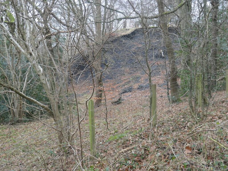 A dark bare coal-shale spoil heap rising behind bare trees and fence posts on a wooded slope.