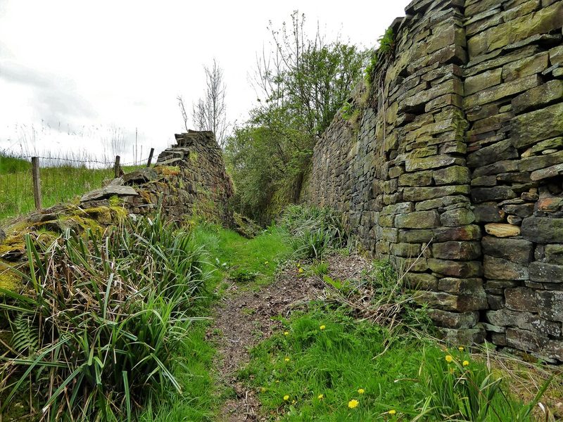 A grassy path running between two tall drystone walls, one partly collapsed, on a hillside.