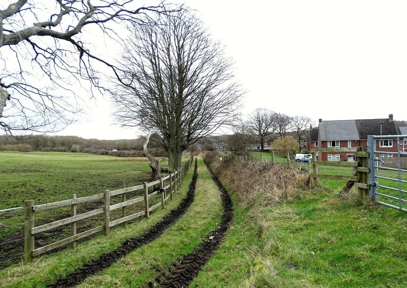 A muddy farm track runs between a wooden fence and a hedge towards houses, under bare trees.