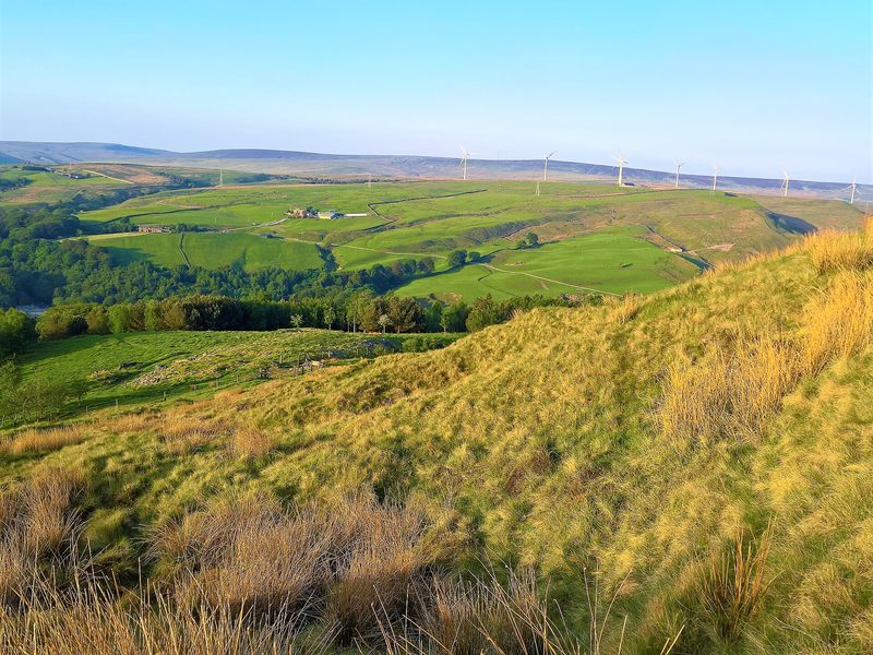 A grassy hillside above the Cliviger valley, with walled pasture, woodland in the valley bottom and wind turbines along the far moor.