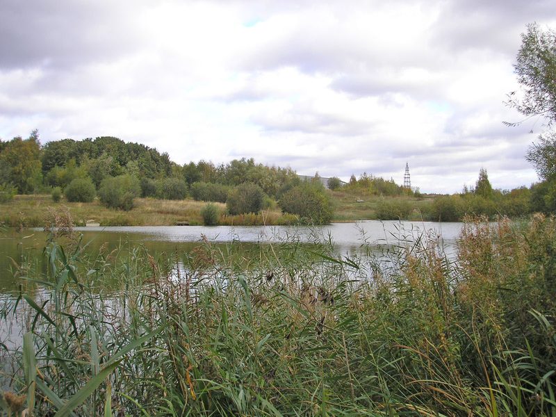 Open grassland and young woodland on the reclaimed Upton Colliery site, with a footpath running through.