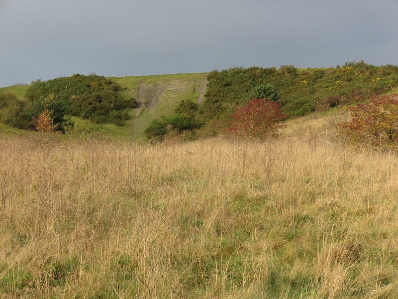 The grassed-over former spoil heap at Rising Sun Country Park, Wallsend.