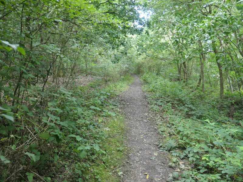 A grassy path through Water Haigh Woodland Park beside the River Aire, on the site of the former colliery.