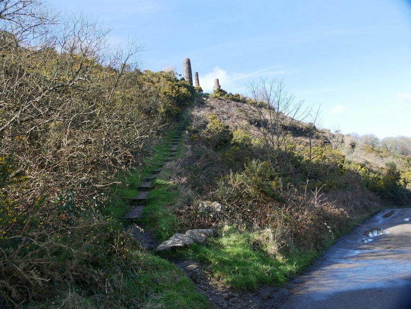 The disused chimneys built for West Tolgus Mine, standing near Redruth.