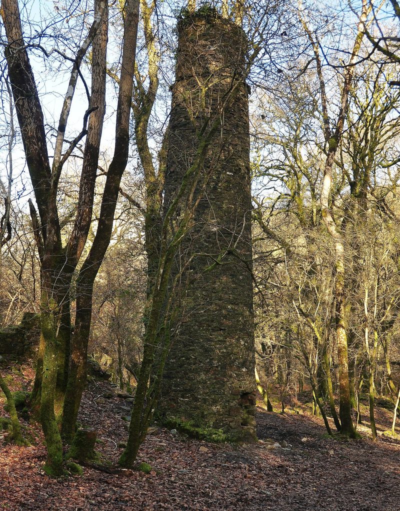 A tall, moss-covered stone mine chimney stands among bare trees on a leaf-strewn woodland slope.