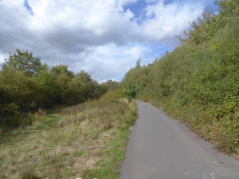 A tarmac path running between banks of scrub and young trees under a cloudy sky, with power lines overhead.