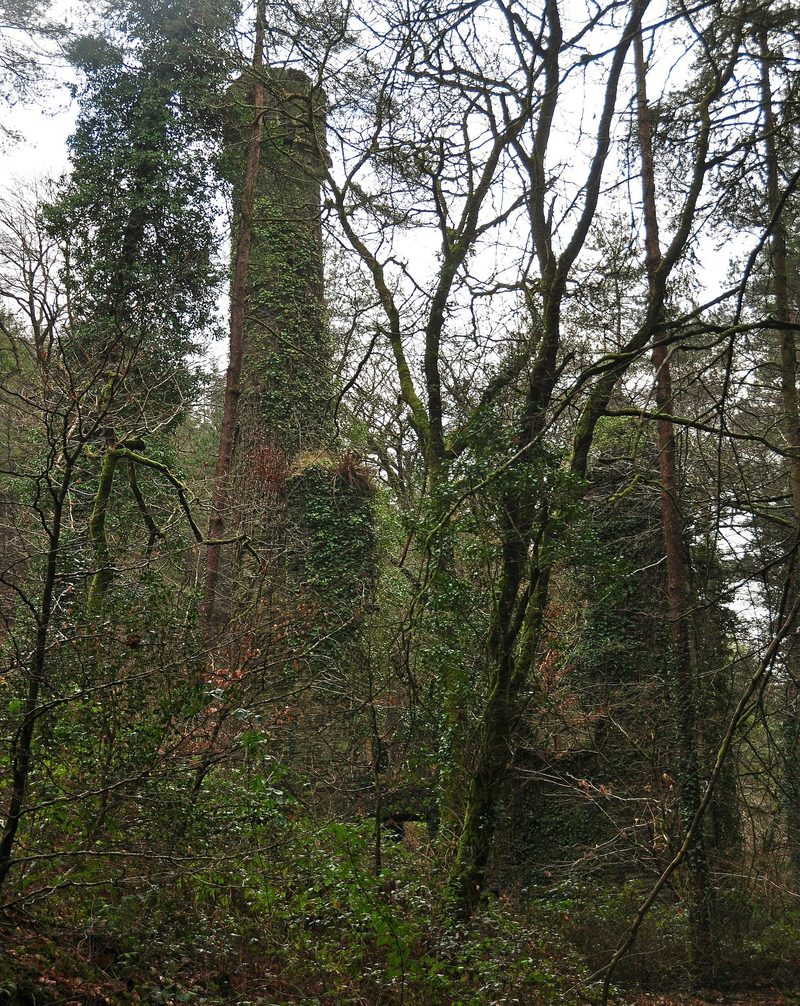 The ivy-covered ruin of a stone engine house and chimney among trees in a wood.